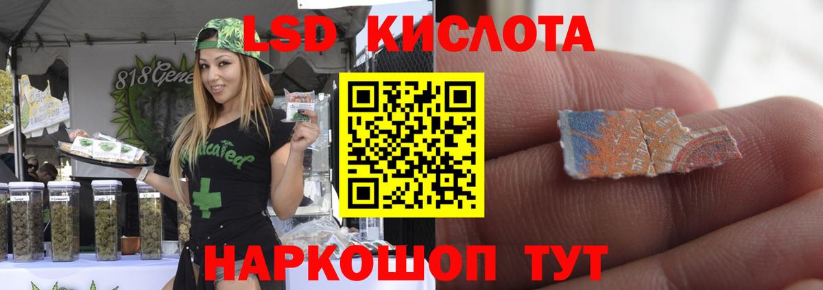 Марихуана  НБОМе  Лесной  Alpha PVP СК кристаллы  Меф МЯУ МЯУ   Вейп ТГК  ГАШ  MDMA  Вход с VPN 