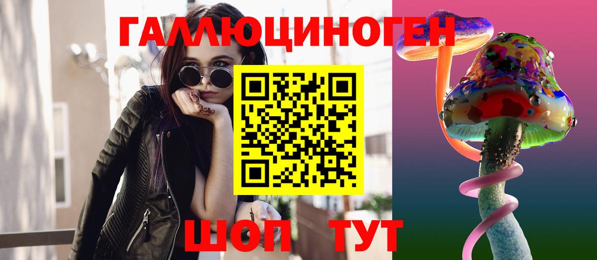 Лесной  Псилоцибиновые грибы Psilocybine cubensis  Вход с VPN 